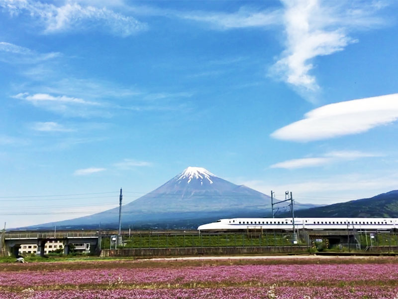 富士山｜東海道新幹線｜オフィススタイル